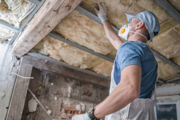 Best Insulation Removal  in Adwolf, VA