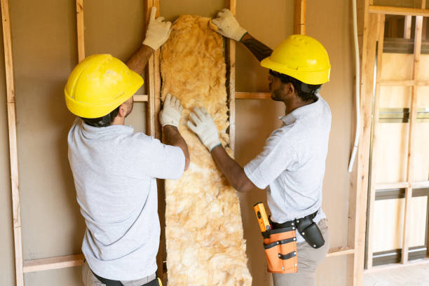 Best Home Insulation Services  in Adwolf, VA