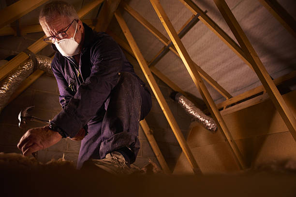 Best Home Insulation Services  in Adwolf, VA
